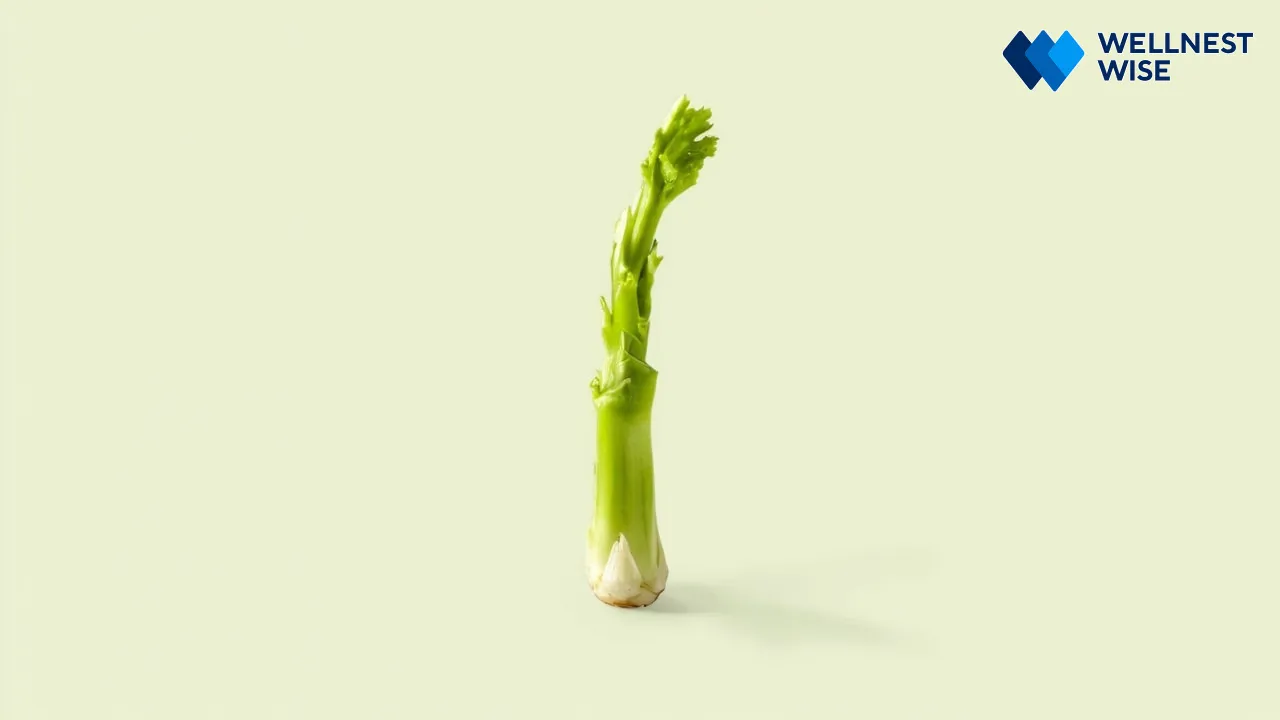 A single celery stalk, representing thoughtful consumption and best practices