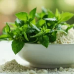 Fresh stevia leaves and white stevia powder sugar substitute